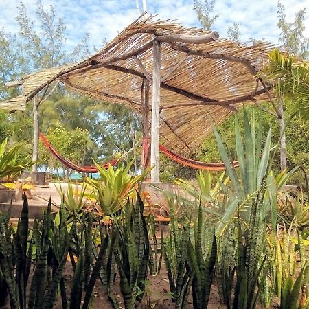 Nzuwa Lodge 펨바 외부 사진