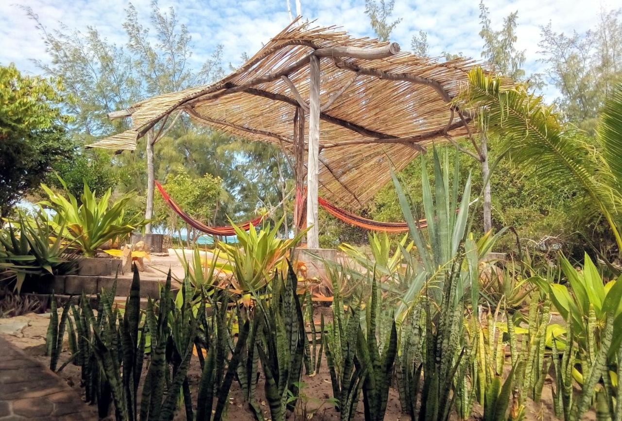 Nzuwa Lodge 펨바 외부 사진